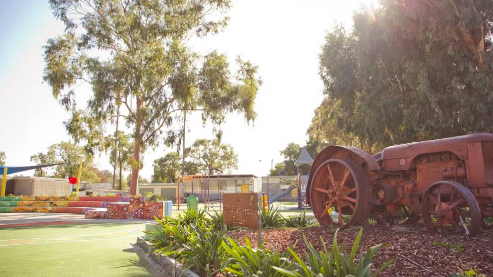 Hanwood Public School is raising money to create a new space for heavy, natural play. Picture supplied