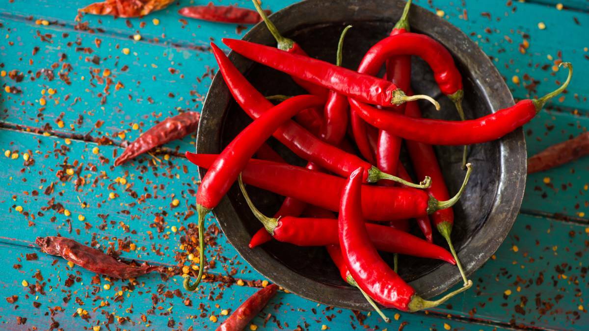 Chili and chocolate festival adds spice