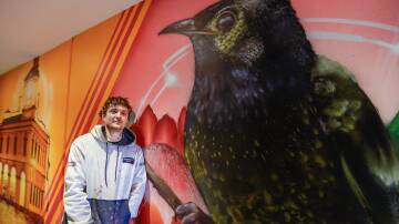 Kade Sarte painting his new mural at Harvey Norman Albury, which is now complete. He says a mural can take anywhere from eight hours to 100. "Every job is different," he says. Picture by Phoebe Adams 