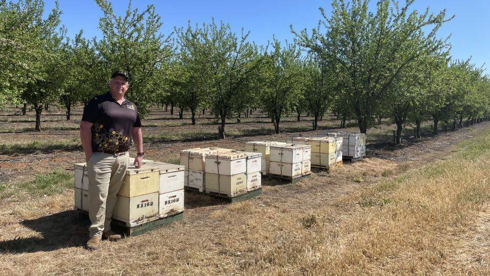 Bidgee Bees owner Jaye Hughes, believes big changes will be on the cards for the industry, saying Varroa mite is here to stay. Picture by Allan Wilson 