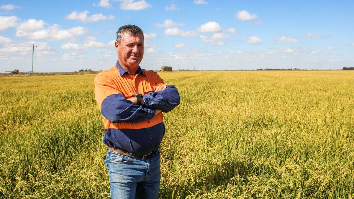 Local landholder and NSW Farmers Griffith branch chairman, Glen Andreazza, is urging farmers and farm workers to have safety front and centre this National Farm Safety Week. Picture file