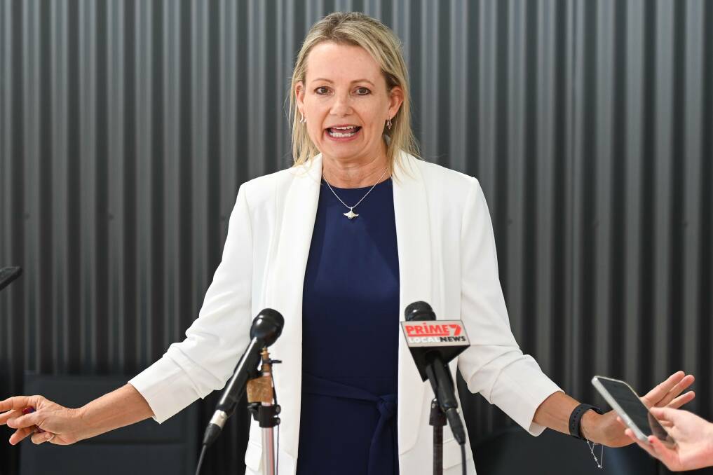 Farrer MP Sussan Ley has weighed in on the domestic violence issue gripping the regions. Picture file