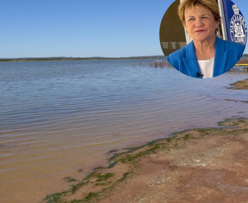A part of the research will go towards investigating possible links between MND and blue green algae, of which has been an issue in waterways like Griffith's Lake Wyangan.