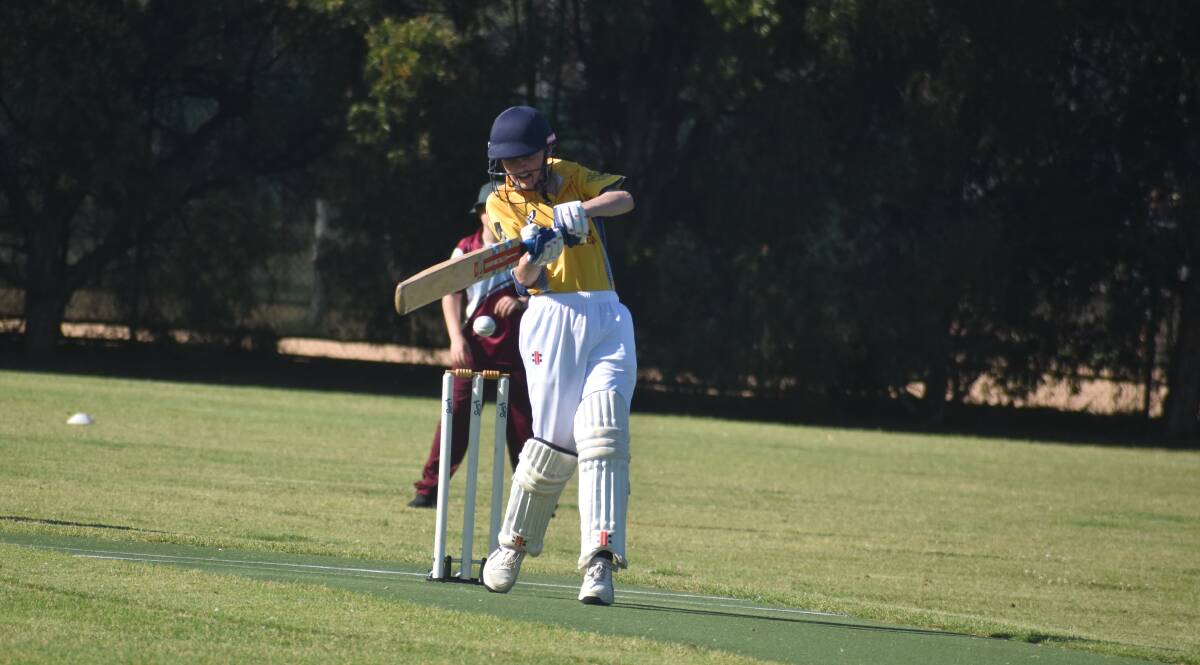 Reif Leach picked up two wickets for Panthers in their win over Coro.